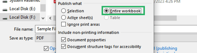 Selecting Entire workbook from options 